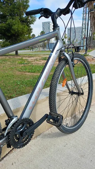 Bicicleta Paseo Ruedas 29' con Accesorios
