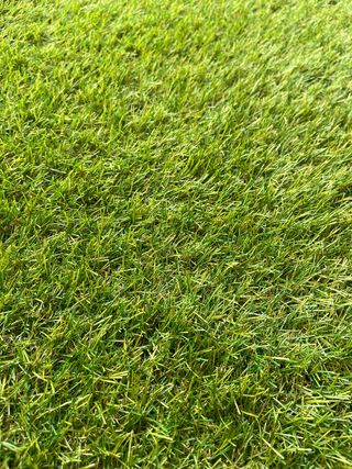 Cesped artificial