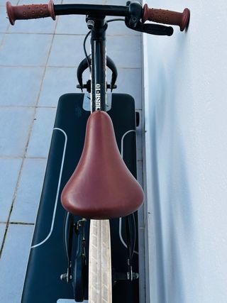 Bicicleta infantil sin pedales