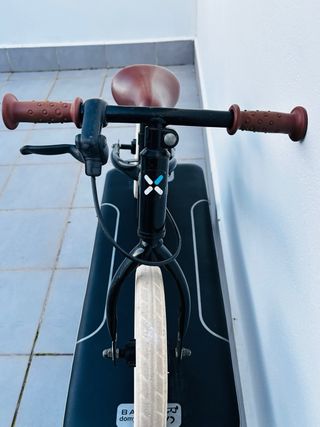 Bicicleta infantil sin pedales