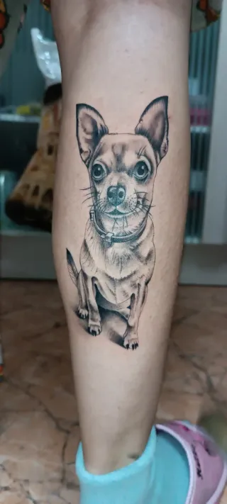 Tatuador animales mascotas alicante y murcia