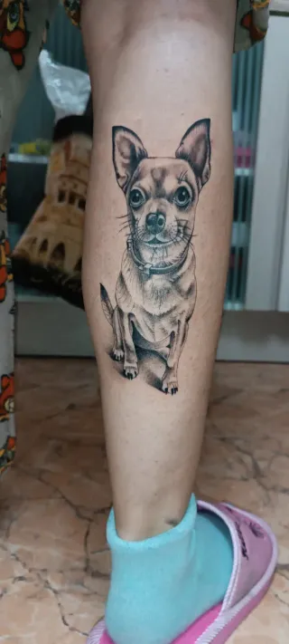Tatuador animales mascotas alicante y murcia