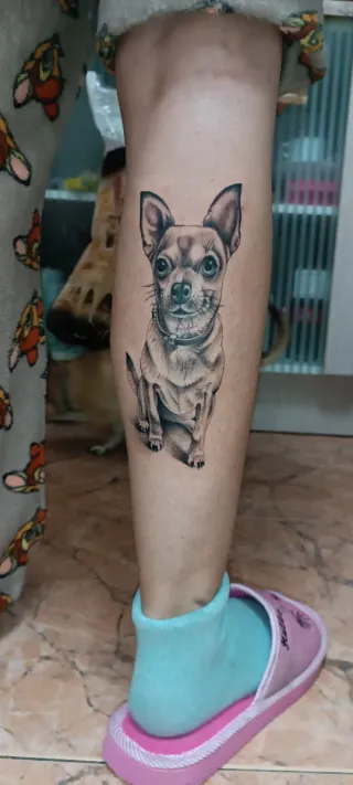 Tatuador animales mascotas alicante y murcia