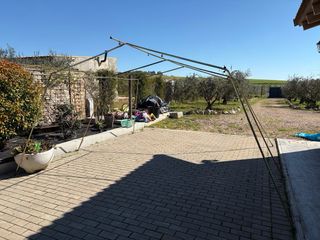 Tienda de campaña verde con ventana