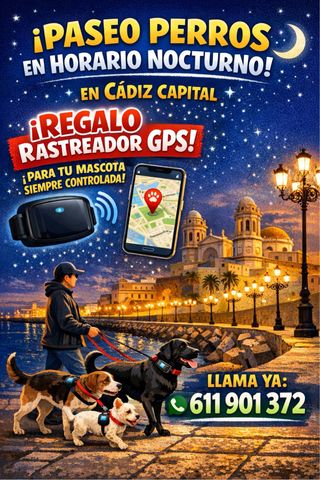 Paseador de perros a partir de las 21 horas