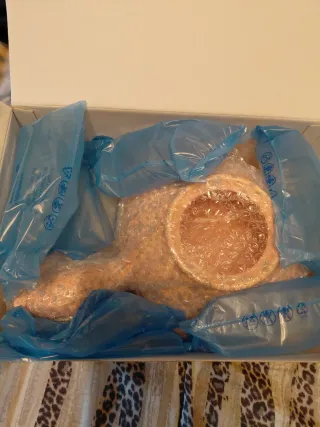 Thomas Kartoffelfeuer nuovo