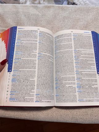 Diccionario lengua española