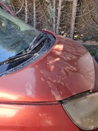 Renault Grand Scenic 2005