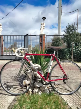 Bicicleta Colnago Mexico Clásica
