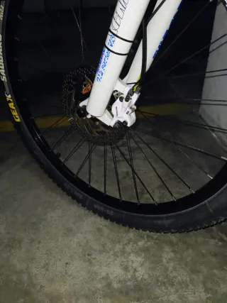 Bicicleta de Montaña