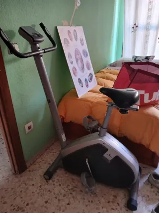 Bicicleta Estática Gris y Negra