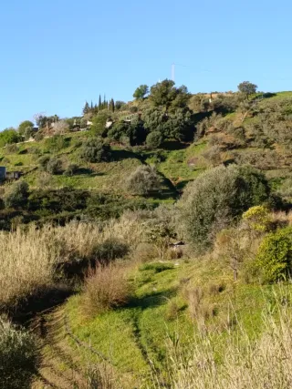 Parcela 5000m² Zona Atalaya