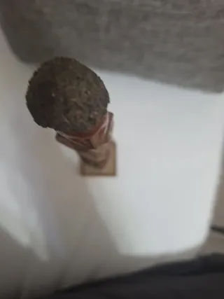 statua è una figura femminile in legno intagli