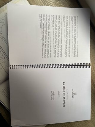 Libro plaça del diamant