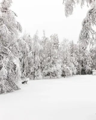 Cuidadora hospitaria