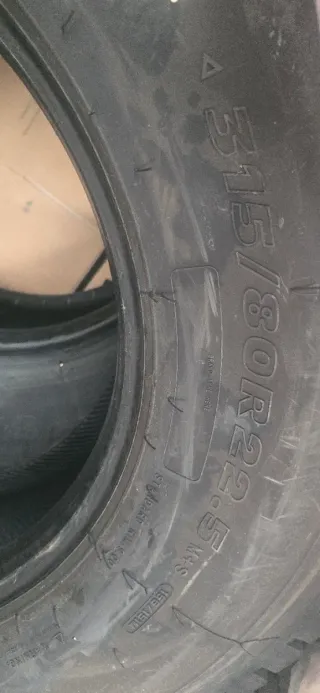 4 Ruedas Traseras Camión