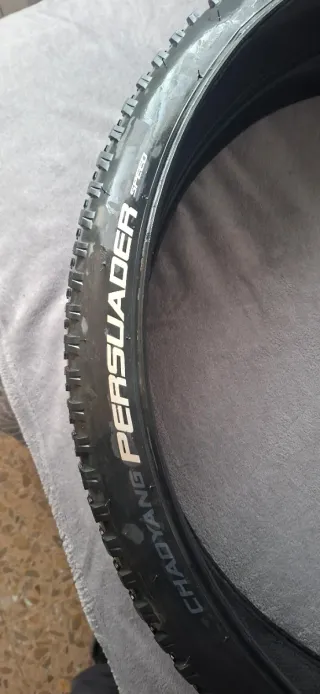 2 Cubiertas Chaoyang Persuader Speed 29x2.40