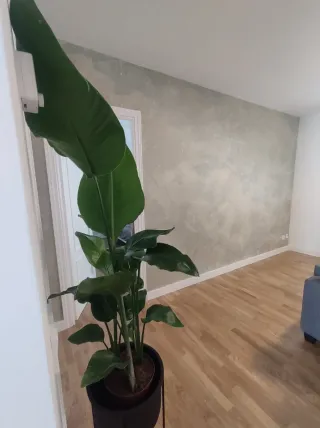 Papel pintado hojas tropicales