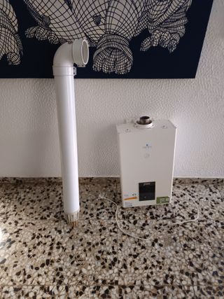 Calentador gas natural Zeus