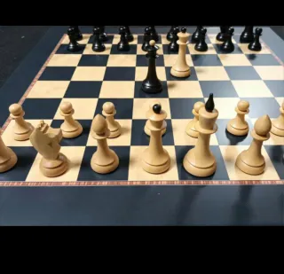 Ajedrez GAMBITO DE DAMA...exclusivas FERRER.  Stau