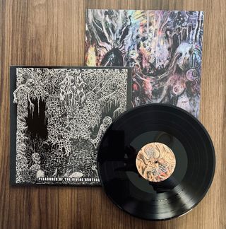 Acid Birth Pleasures Of The Divine Grotesque Vinyl
