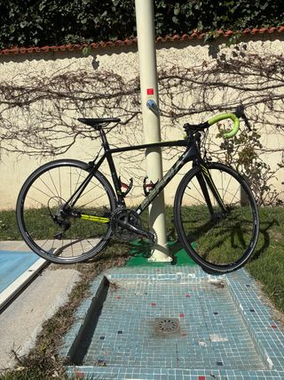 Fibra de carbono, marca Berria Falcon 2