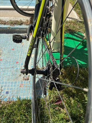 Fibra de carbono, marca Berria Falcon 2