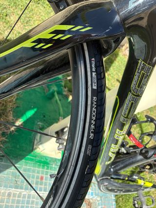 Fibra de carbono, marca Berria Falcon 2