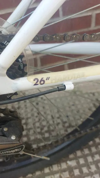 Bicicleta Blanca Montaña