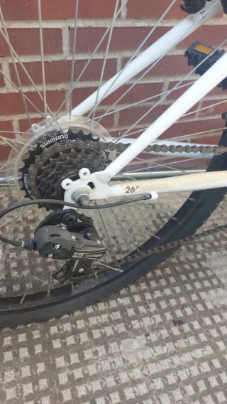 Bicicleta Blanca Montaña