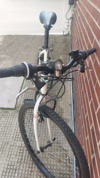 Bicicleta Blanca Montaña