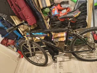 Bicicleta Montaña 26 Shimano