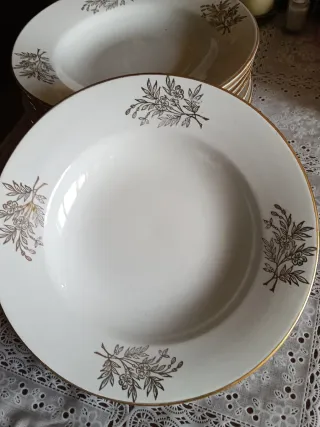 Platos de porcelana con borde dorado