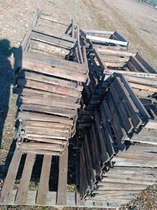 Cuadros colmenas Layens