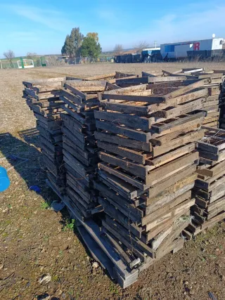 Cuadros colmenas Layens