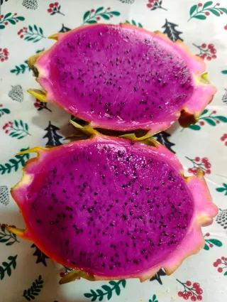 Pitahaya Autopolinizante Vietnam Red Royal