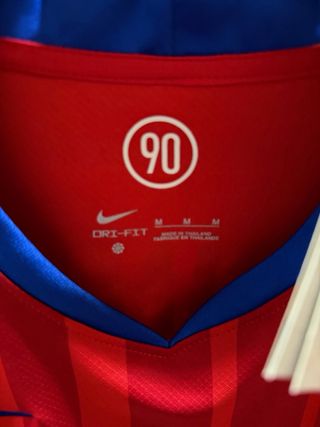 Camiseta PSG Vitinha 17 Talla M