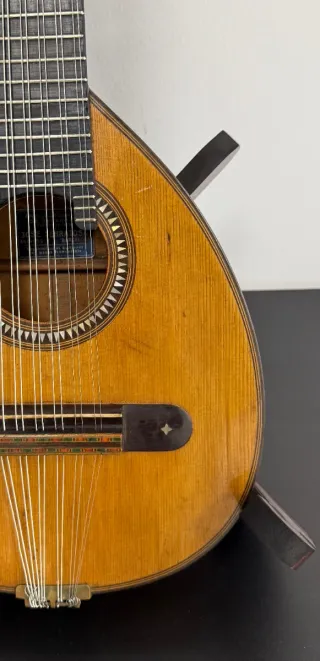 Bandurria José Serratosa