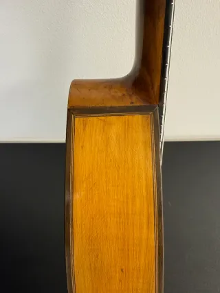 Bandurria José Serratosa