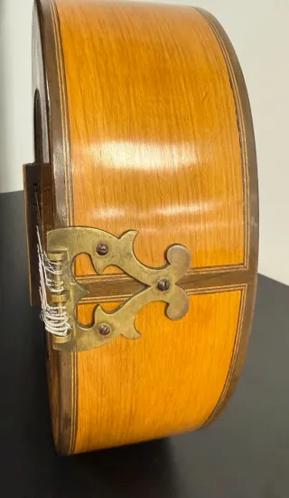 Bandurria José Serratosa