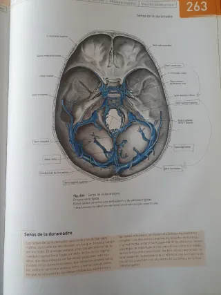 Atlas de Anatomia Humana 2 Tomos Con CD 21b: Ed...