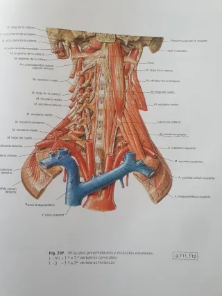Atlas de Anatomia Humana 2 Tomos Con CD 21b: Ed...
