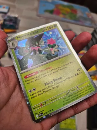 Bulk Lote de 1000 cartas Pokémon