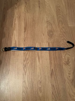 Cinturón infantil Asterix