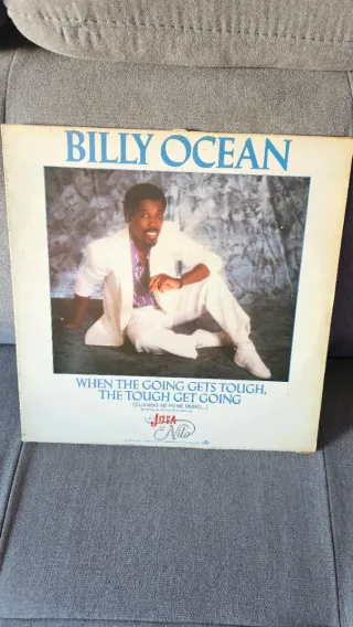 Lote 14 Vinilos Pop Rock Internacional