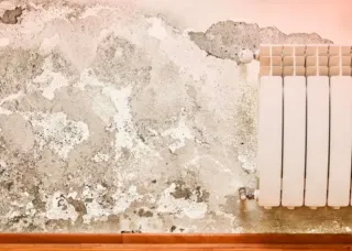 Fontanero electricista y pintura 695606846