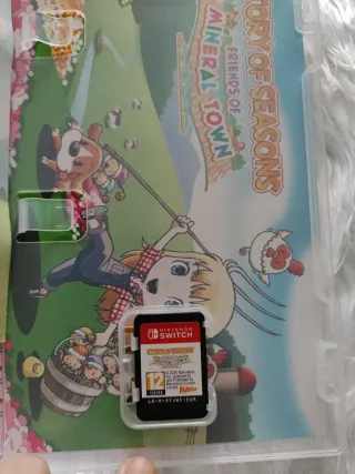 Story of Seasons: Friends of Mineral Town Switch