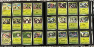 Carte Pokémon Masterset Avventure Insieme Ita