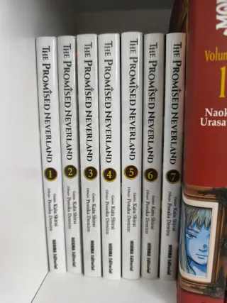 THE PROMISED NEVERLAND