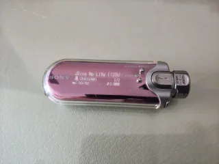 Walkman Sony MP3 NW-E507 Morado/Plata Reproductor